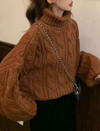 Mira turtleneck sweater - main
