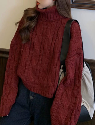 Mira turtleneck sweater - detail